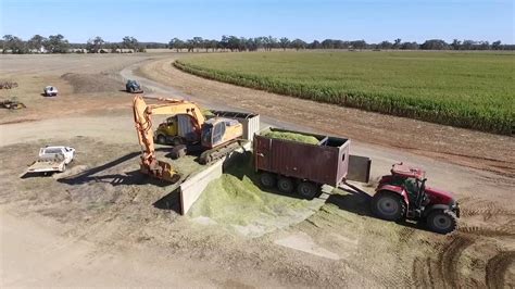 Silage Chopping A Maize Corn Crop 2016 Australia YouTube