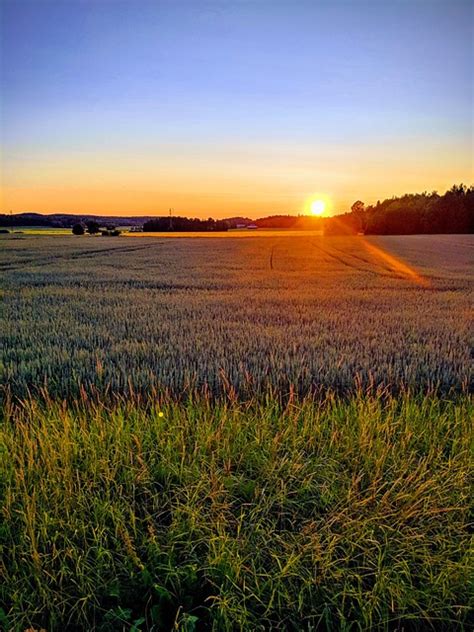 Sonnenuntergang Wiese Feld Kostenloses Foto Auf Pixabay Pixabay