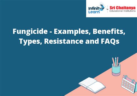 Fungicide Examples Benefits Types Resistance And Faqs