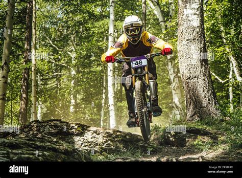 Athlete Rider Downhill Forest Trail Racing DH Mountain Bike Extreme