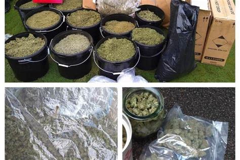 Police Find Freezer Stuffed With Cannabis In Drugs Raid At Doncaster House