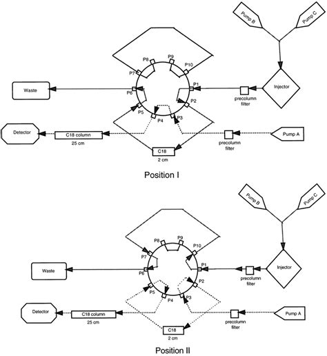 Diagram Of Column Switching Hplc System For Ganciclovir Determination