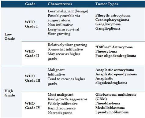 Brain Tumors Explained Metrohealth Hmo