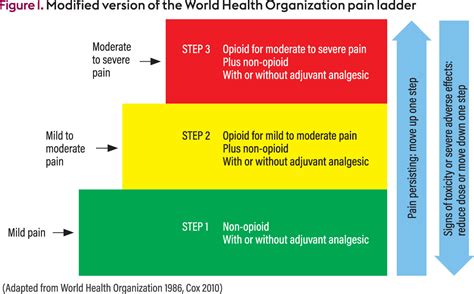 Analgesic Ladder