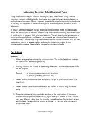 Understanding Fungi: Laboratory Exercise for Identification & | Course Hero