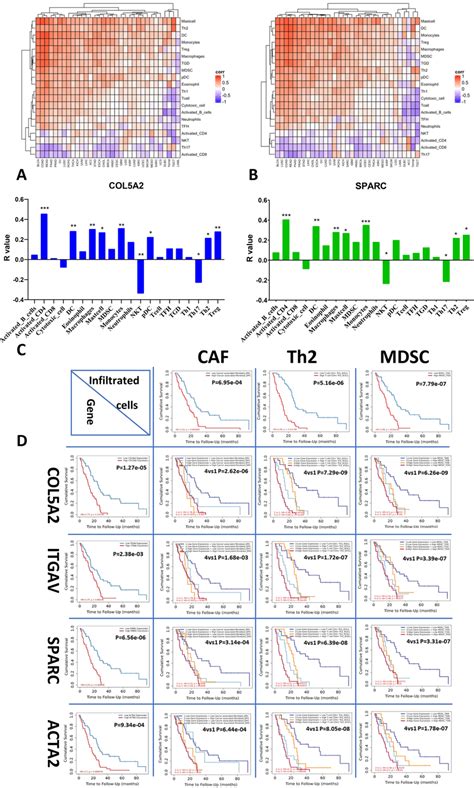EMT gene expression and immune cell infiltration in correlation with ...