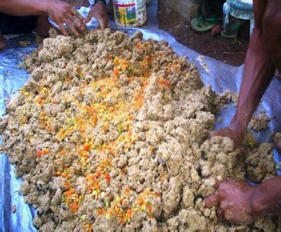 Membuat Pakan Ikan Organik Fermentasi Bioboost