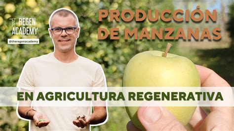 Producción de manzanas en Agricultura Regenerativa YouTube