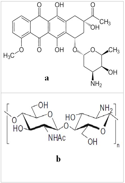 Structure of: a) daunorubicin and b) chitosan. | Download Scientific ...