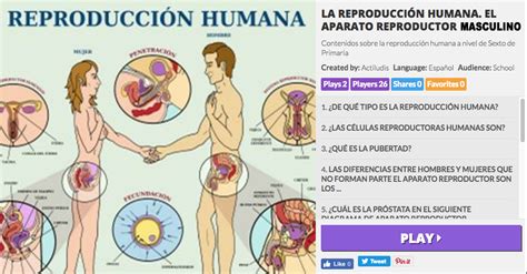 Aparato Reproductor Masculino Reproduccion Humana Para Ni Os Hot Sex