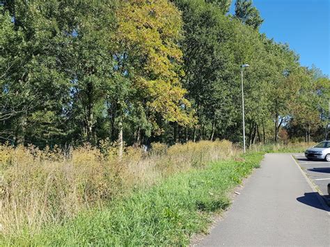 Gay Cruising Areas Outdoor Treffpunkte in der Nähe