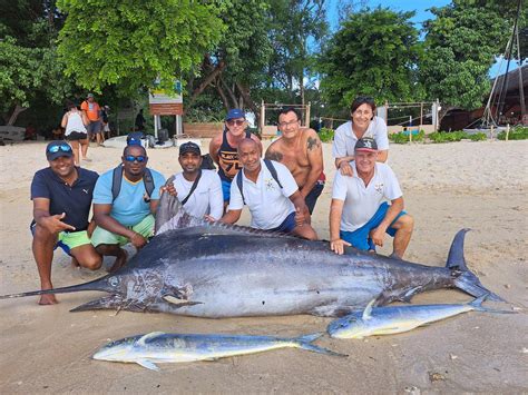 Marlin Marlin P Che P Che Au Gros Le Maurice Letriofishing