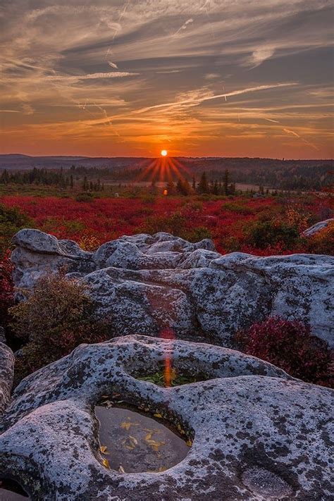 Beautiful Sunset In Bear Rocks Of Dolly Sods West Virginia United