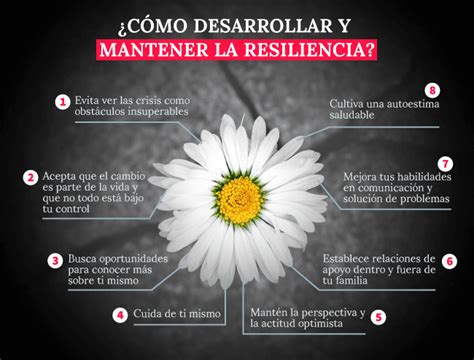 Caracter Sticas De Las Personas Resilientes Descubre C Mo Ser M S