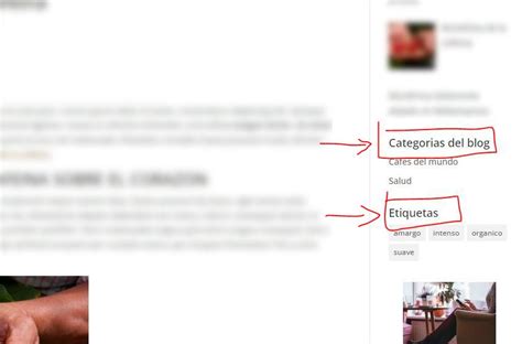 Categorías y etiquetas en WordPress diferencias Que son y Donde se usan