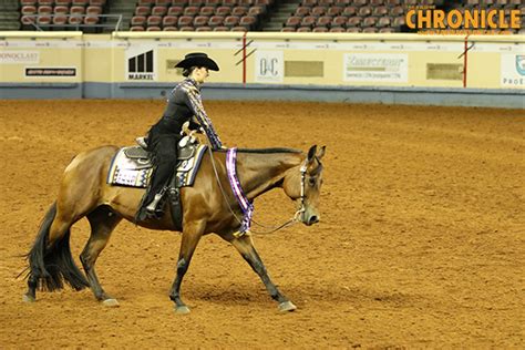 Judges Announced For 2019 Aqha World Show Equine Chronicle