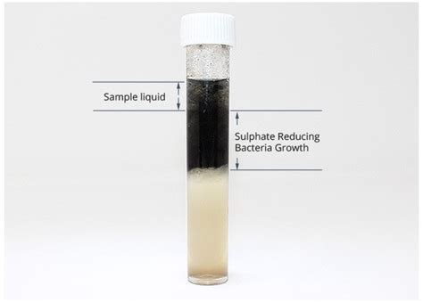 SRB Test Kit Sulphate Reducing Bacteria Tests SRB Incubator