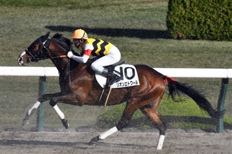 【一口馬主日記】tcライオン特別編！ カズキ一口馬主