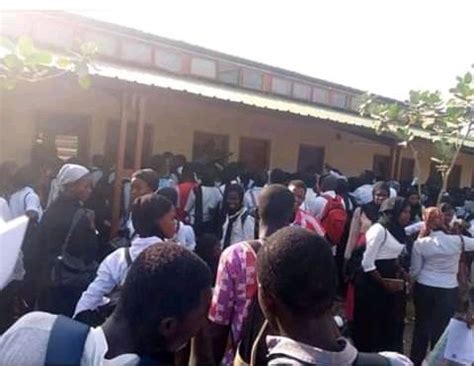 MRC Holland rescues frustrated Gambia College students - The Point