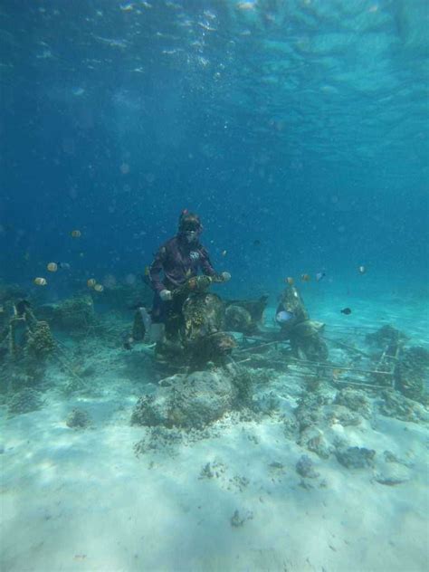 Menjelajahi Keindahan Bawah Laut Dengan Snorkeling Di Gili Trawangan