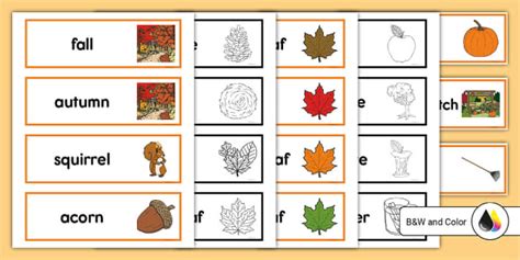 Fall Season Words Prekindergarten Resource Twinkl Usa