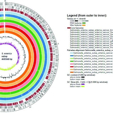 Circular Plot Genome Representation Of Nine Investigated Salmonella Download Scientific Diagram