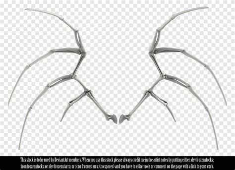 Free Download Skeleton Bone Angels Wings Angle Wings Png Pngegg