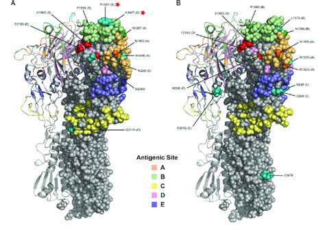 Crystal structure of hemagglutinin (HA) of circulating A(H3N2) clade... | Download Scientific ...