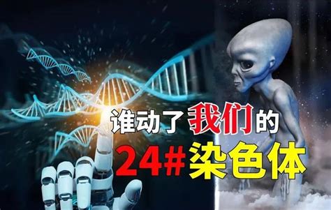 被偷走的24号染色体：人类近亲都是24对染色体，为何人类只有23对？ 知乎