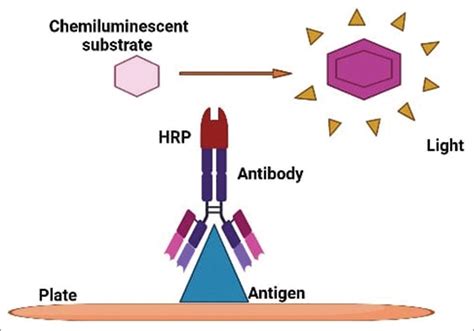 Enzyme Linked Immunosorbent Assay Versus Chemiluminescent Immunoassay