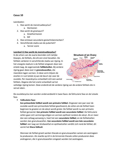 Casus 10 Leerdoelen 1 Hoe Werkt De Menstruatiecyclus A Hormonen 2