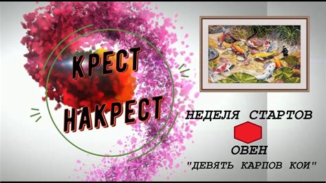 Неделя стартов. Вторник. Овен "Девять карпов кои" - YouTube