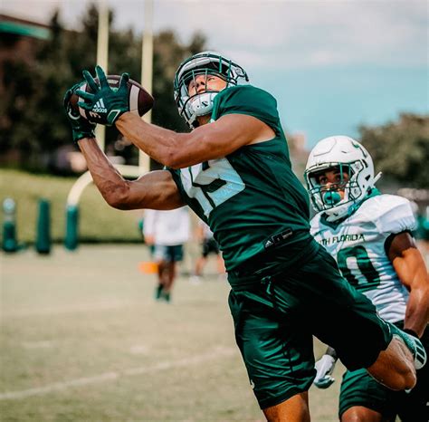 Usf University Of South Florida Football Artofit