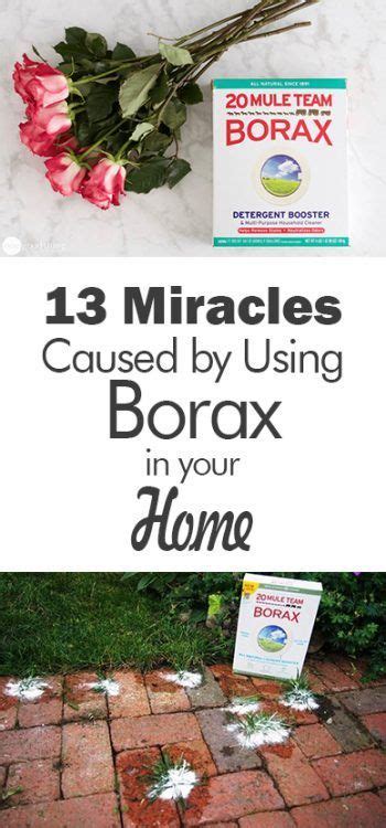 How To Use Borax In Your Home Simple Ways To Use Borax In Your Home