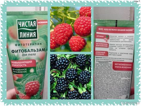 Фитобальзам Чистая линия для тела "Сок малины и ежевики" - «Подтянуть ...
