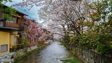 BEST Guide for Choosing Between Kyoto vs Osaka (2024)