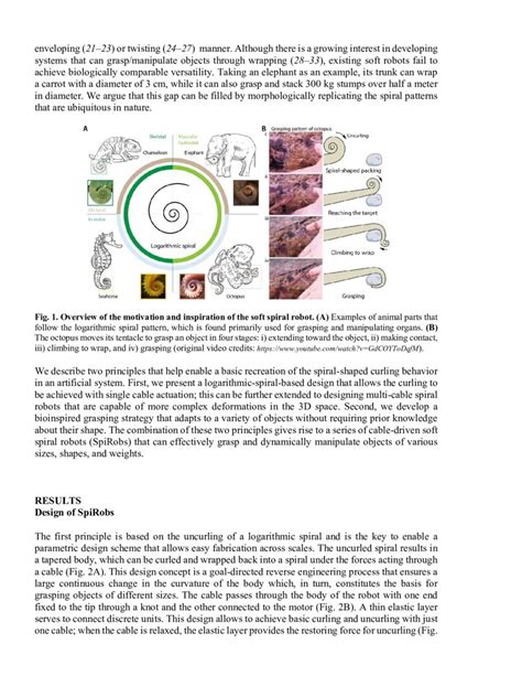 Bioinspired Soft Spiral Robots For Versatile Grasping And Manipulation