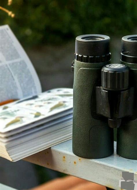 Pin by Renais Sanz on The bird watcher | Bird watching, Binoculars, Birder