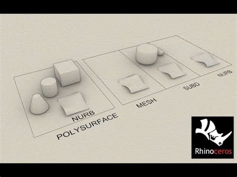 C C D Ng M T Ph Ng Trong Rhinoceros D Polysurface Nurb Mesh