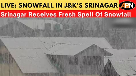 Watch Srinagar Witness Fresh Spell Of Snowfall Jammu And Kashmir