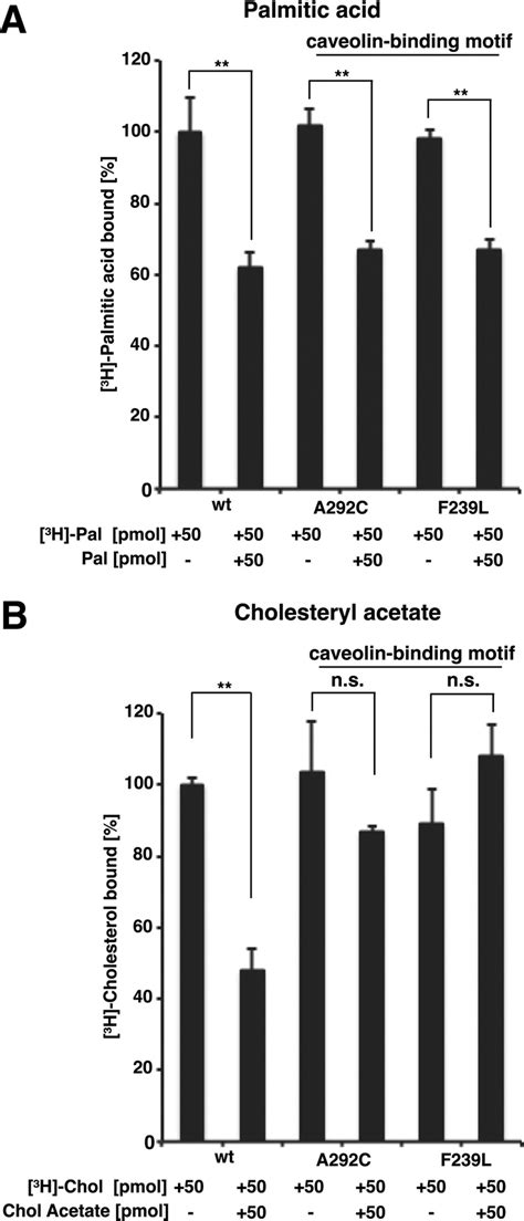 Mutations In Sterol Binding Loop Of Pry The Caveolin Binding Motif