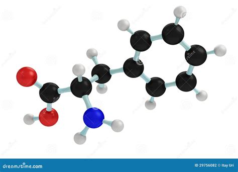 Model of phenylalanine stock photo. Image of formula - 29756082