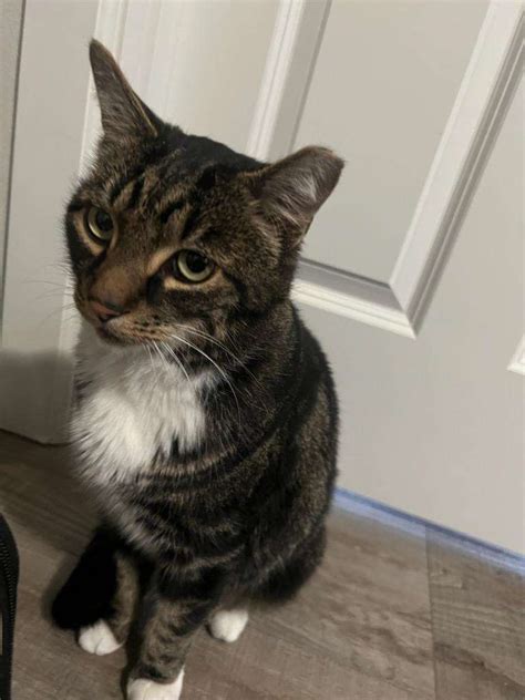 Gay For History On Twitter Rt Venomortisha Hey My Siblings Gf Found A Wonderful Lil Man