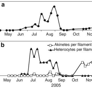 Temporal Dynamics Of Cylindrospermopsis Sp In Lake Kinneret