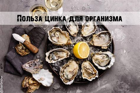 Полезные свойства цинка для мужчин и женщин и симптомы дефицита
