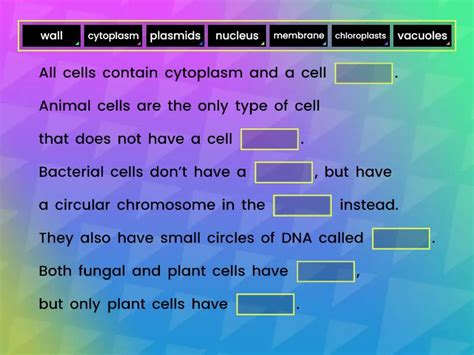 Cell Types Summary Missing Word