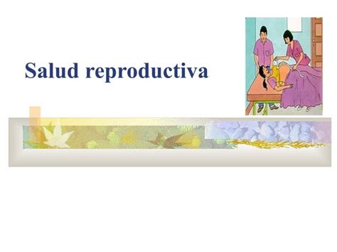 Salud Reproductiva Y Muerte Materna Ppt