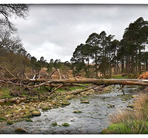 KIPPURE EDUCATION & ADVENTURE (2025) All You Need to Know BEFORE You Go