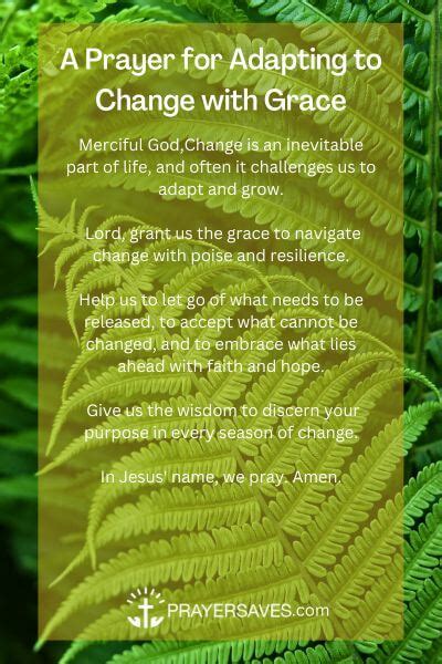 19 Important Prayer About Embracing Change