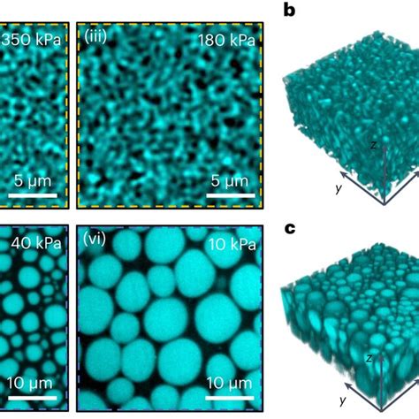 Matrix Stiffness Tunes The Microstructural Length Scale And